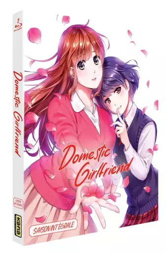 vidéo manga - Domestic Girlfriend - Love X Dilemma - Intégrale Blu-Ray