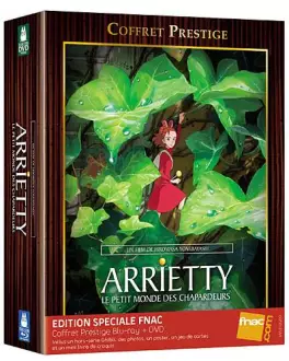 manga animé - Arrietty - Le petit monde des chapardeurs - Combo Blu-Ray + DVD- Coffret Spécial Fnac