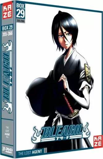 vidéo manga - Bleach - Collector Vol.29