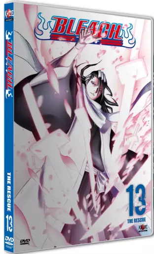 vidéo manga - Bleach Vol.13