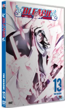anime - Bleach Vol.13