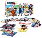 Image supplémentaire © Bird Studio/Shueisha, Toei Animation