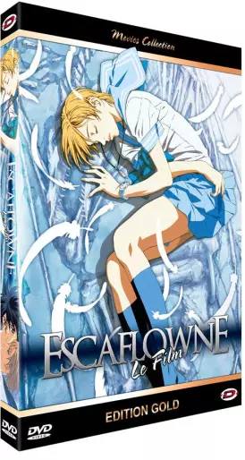 vidéo manga - Vision D'Escaflowne - Le film - Edition Gold