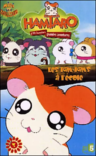 vidéo manga - Hamtaro - Saison 1 Vol.3