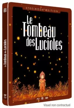 anime - Tombeau des Lucioles (le) - Combo Blu-Ray+DVD - Edition Steelbook