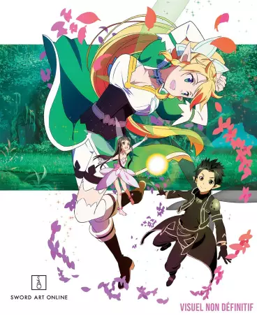 vidéo manga - Sword Art Online - Collector - Blu-Ray +DVD Vol.2