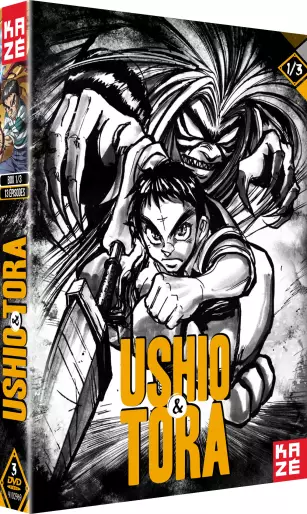 vidéo manga - Ushio & Tora - Coffret Vol.1