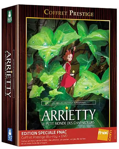 Arrietty - Le petit monde des chapardeurs - Combo Blu-Ray + DVD- Coffret Spécial Fnac