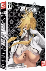 anime - Bleach - Collector Vol.17