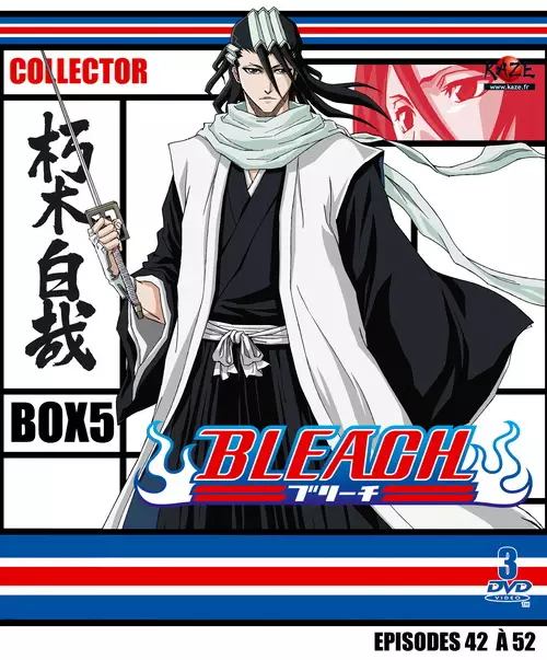 Bleach - Collector Vol.5