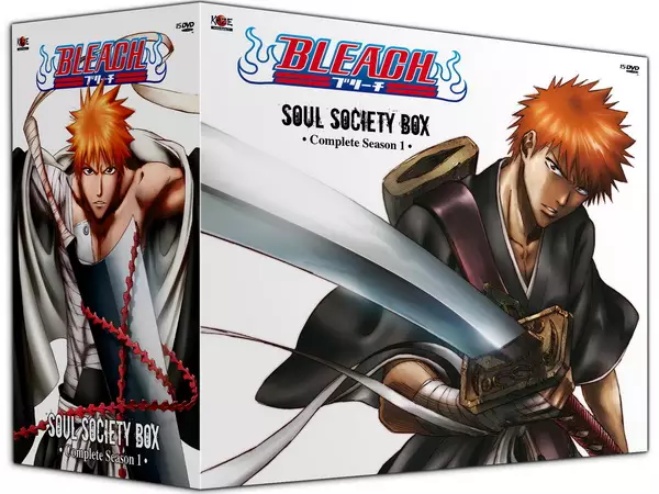 Bleach - Intégrale Saison 1