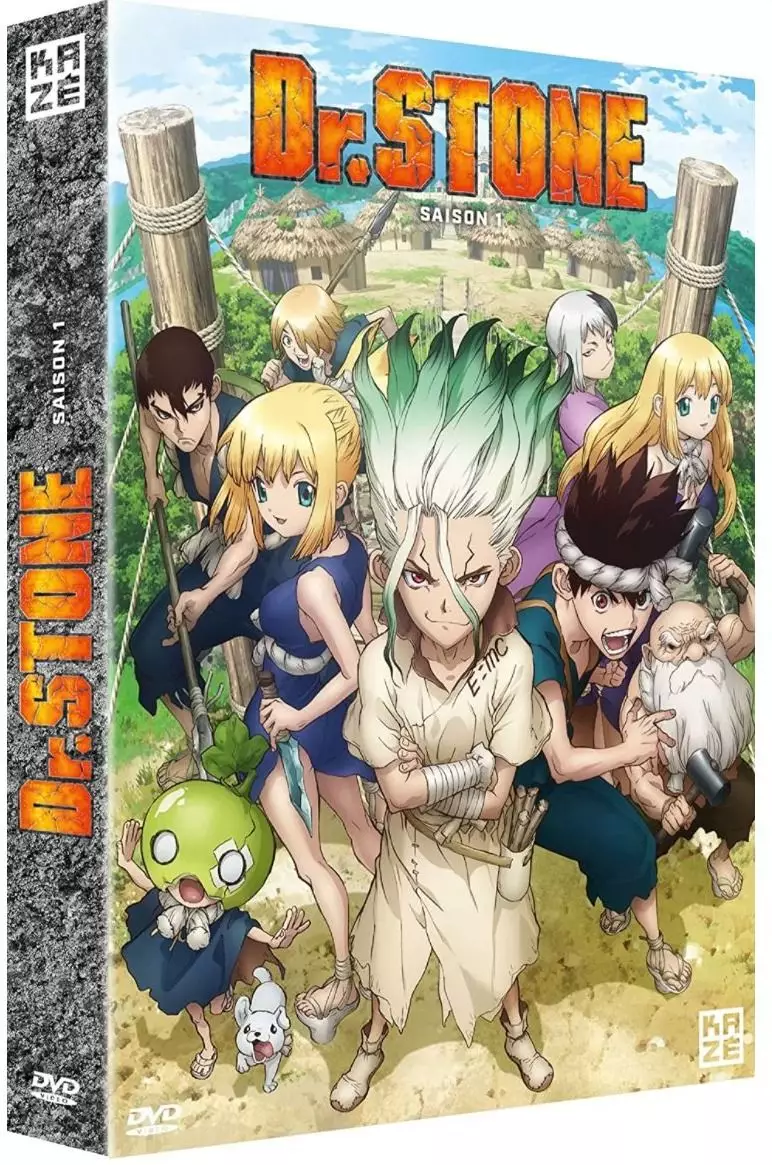 Dr Stone - Saison 1 - Intégrale DVD