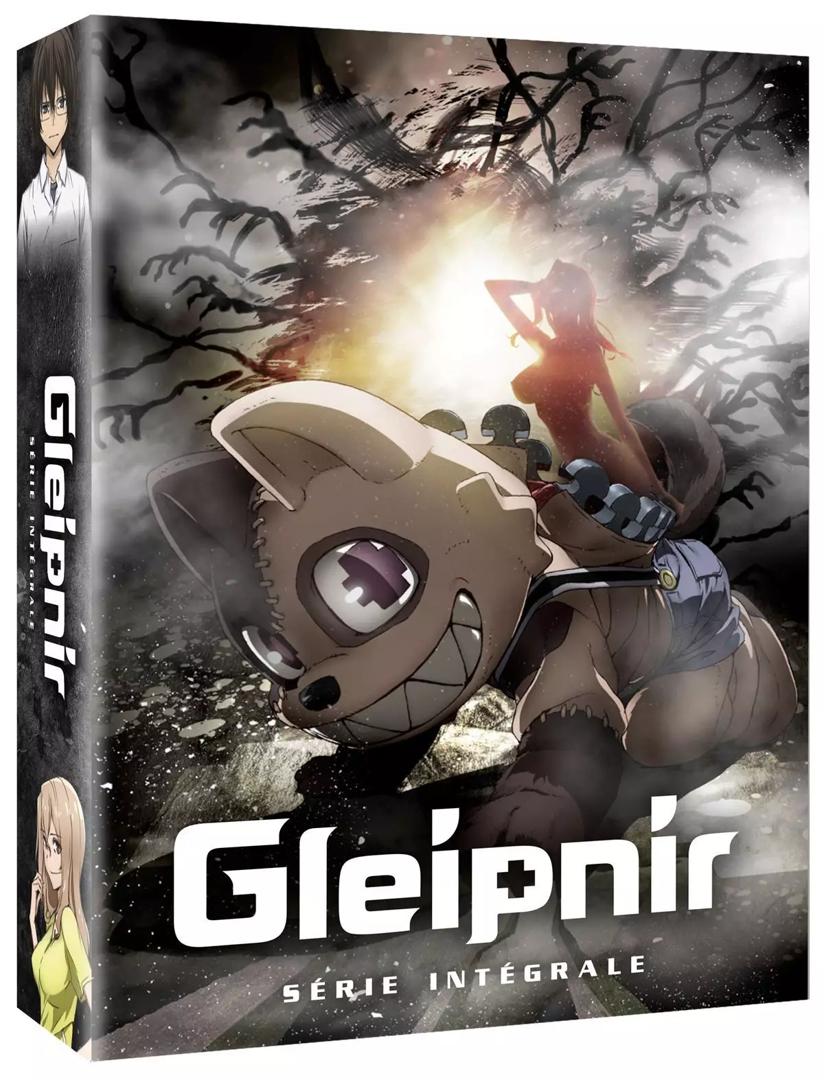 Gleipnir - Intégrale DVD