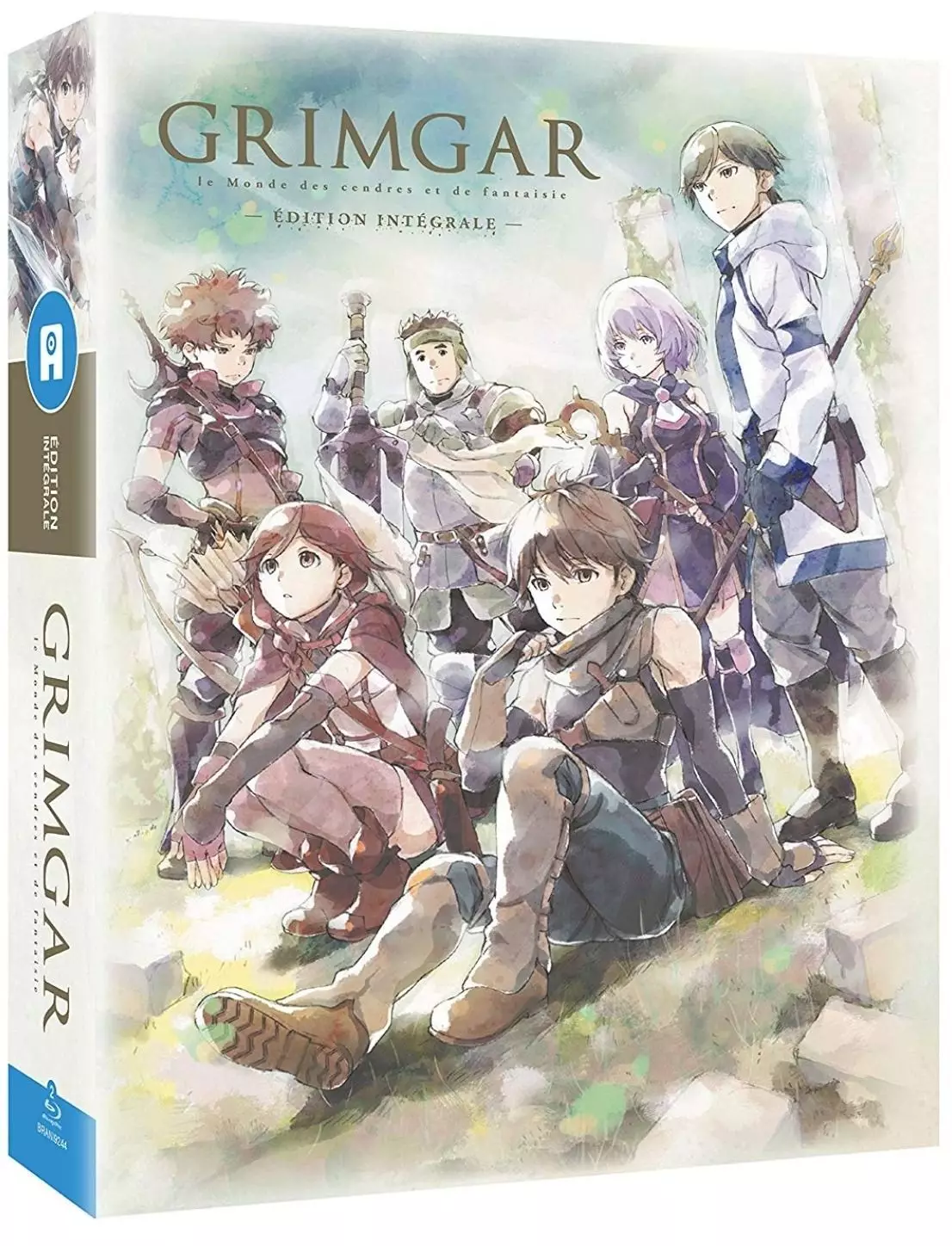 Grimgar Saison 2 Date De Sortie Blu-Ray Grimgar - Le Monde de cendres et de fantaisie - Intégrale Blu-ray -  Anime Bluray - Manga news