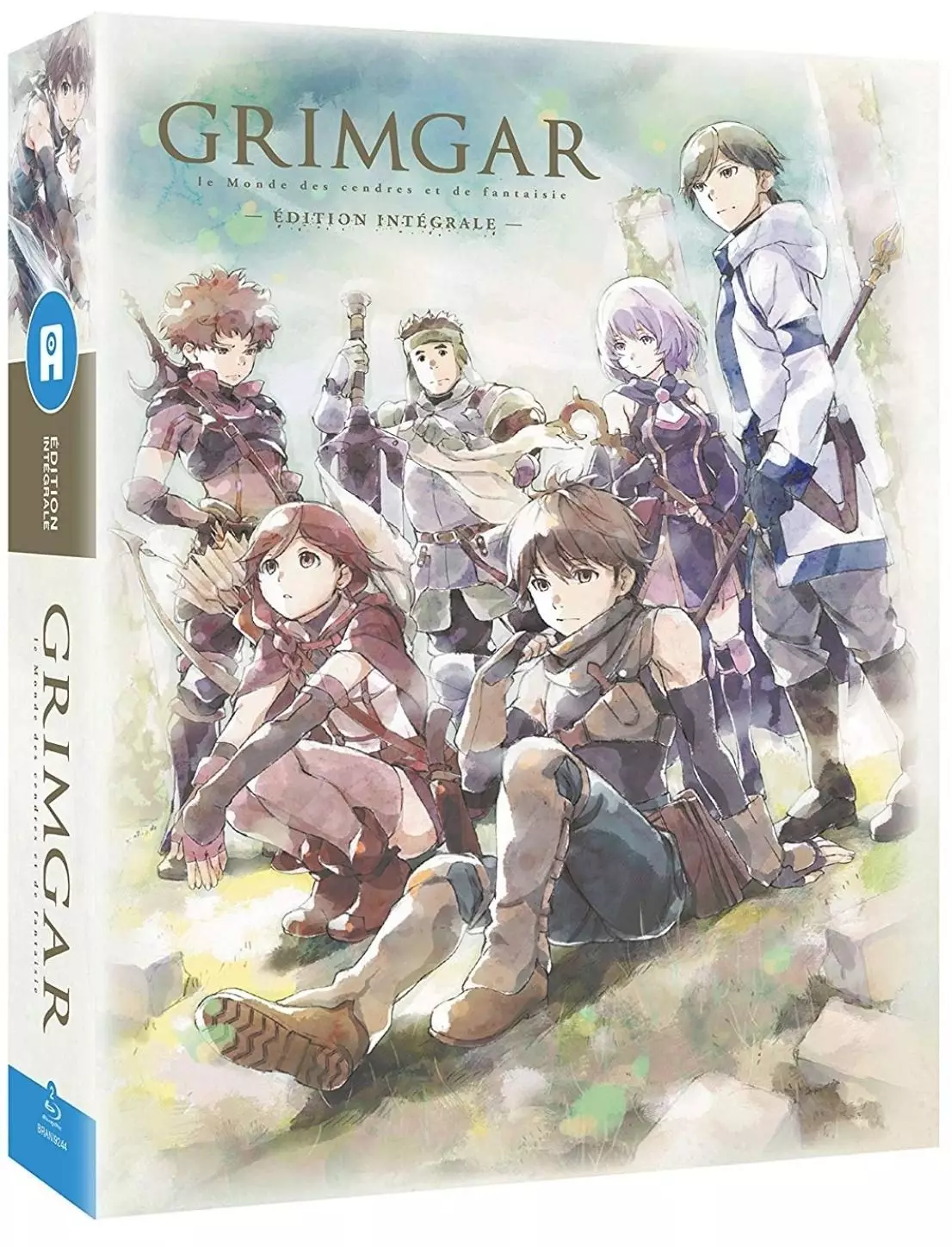 Grimgar - Le Monde de cendres et de fantaisie - Intégrale Blu-ray