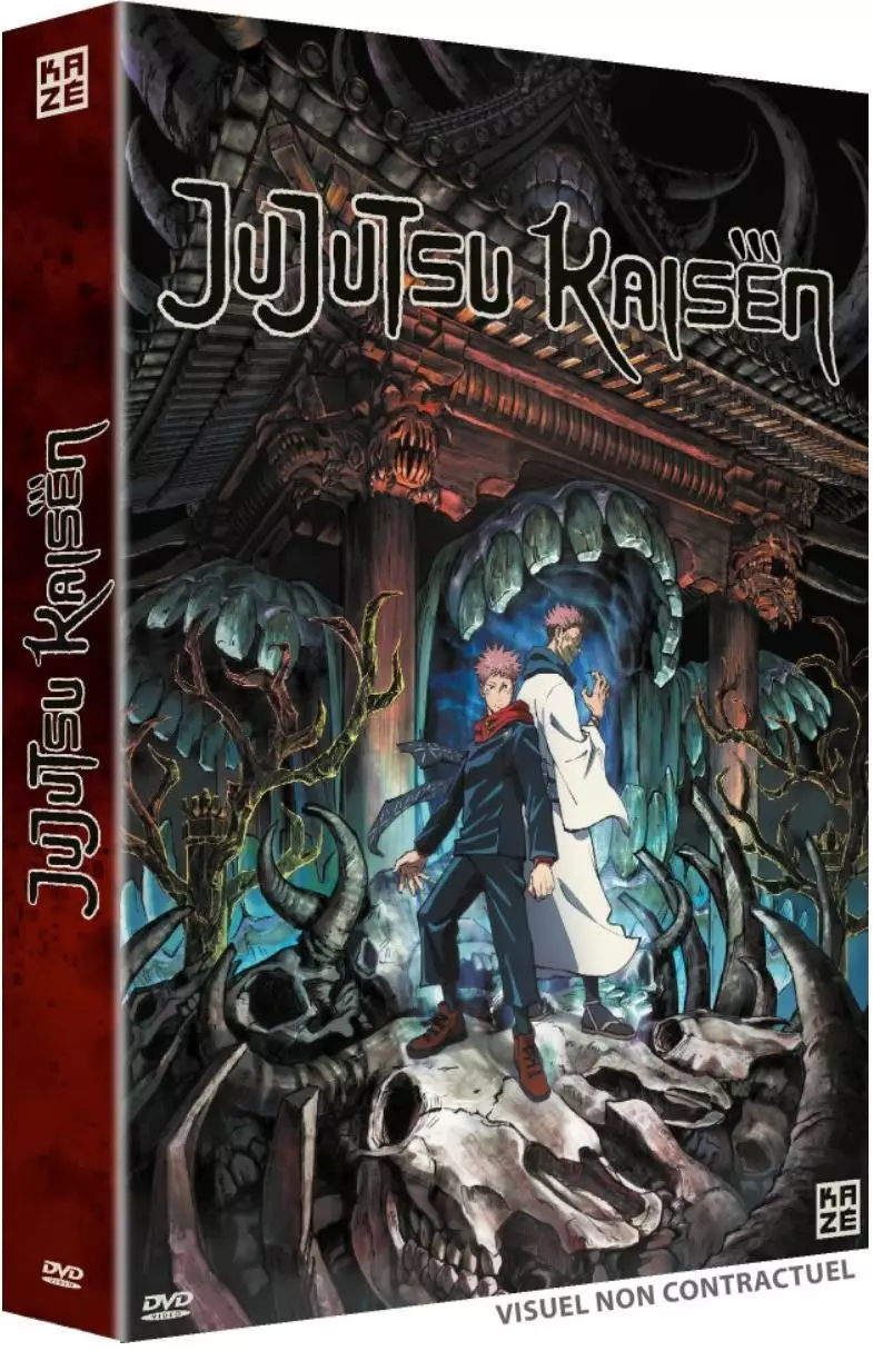 Jujutsu Kaisen - Saison 1 - Intégrale DVD