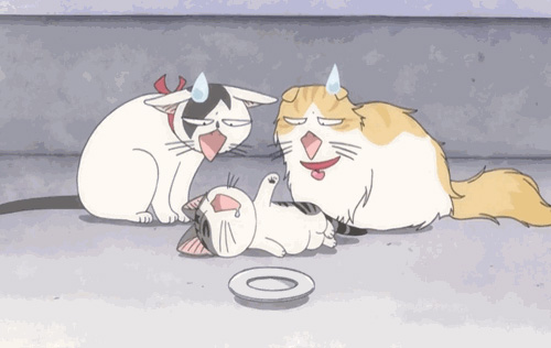 Dvd - Chi - Une vie de chat Vol.1