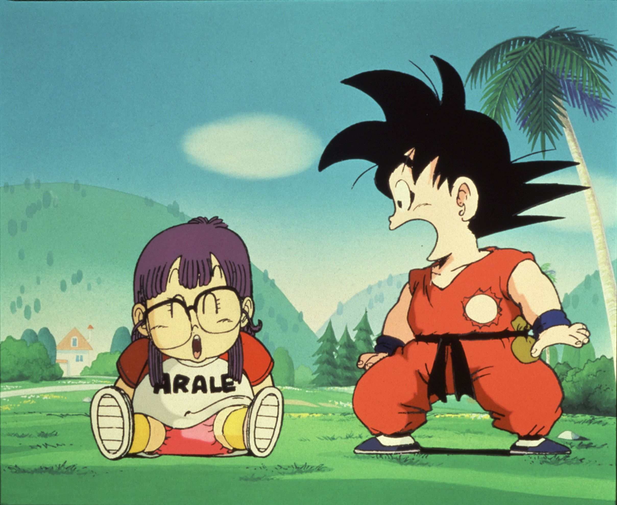 Dvd - Dragon Ball Coffret Collector VOVF Vol.1