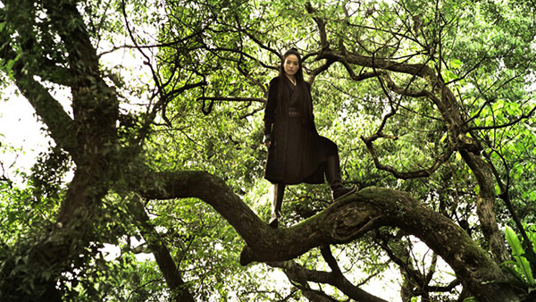 The Assassin - Blu-Ray - Screenshot 5