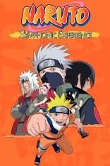 évenement - Naruto Symphonic Experience