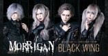 évenement - Morrigan European Tour - Black Wing