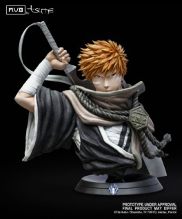 manga - Ichigo Kurosaki - M.U.B by Tsume