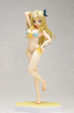 Mangas - Sena Kashiwazaki - Beach Queens