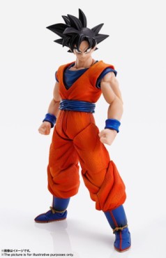 Son Goku - Imagination Works - Bandai