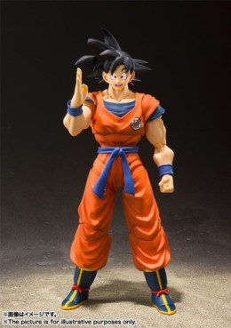 Mangas - Son Goku - S.H. Figuarts Ver. Saiyan Grown on Earth