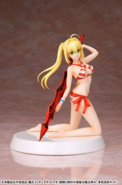 Mangas - Caster/Nero Claudius - Summer Queens - Our Treasure