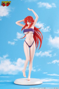 Rias Gremory - Ver. Swimsuit - A-Plus