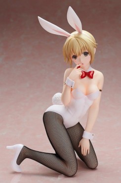 manga - Tsukasa Nishino - Ver. Bunny - FREEing