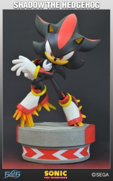 manga - Shadow - First 4 Figures