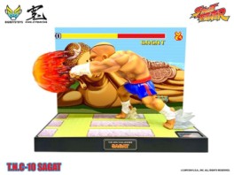 Mangas - Sagat - T.N.C - Big Boys Toys