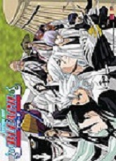 Manga - Bleach - Poster Capitaine Division 13