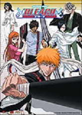 goodie - Bleach - Poster Equipe Ichigo