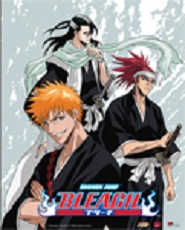 Bleach - Poster Ichigo Renji et Byakuya