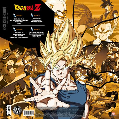Couverture arrière du vinyle Dragon Ball Z Best Collection Édition Limitée