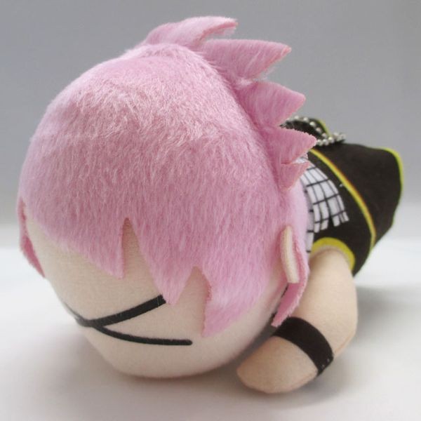 Manga - Manhwa - Natsu Dragnir - Peluche Zannen-san - ACG