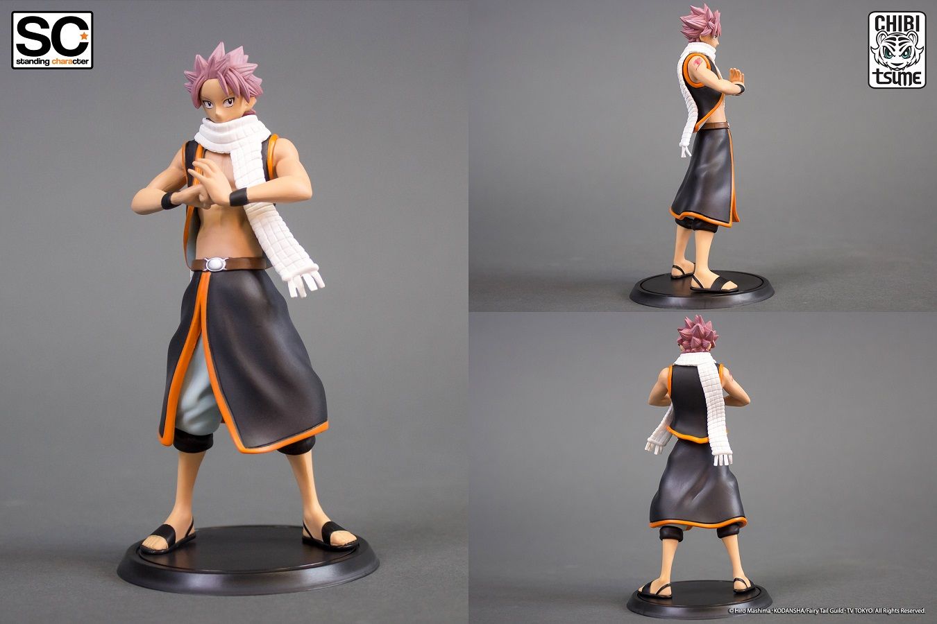 Manga - Manhwa - Natsu Dragnir - SC - Standing Characters - Tsume