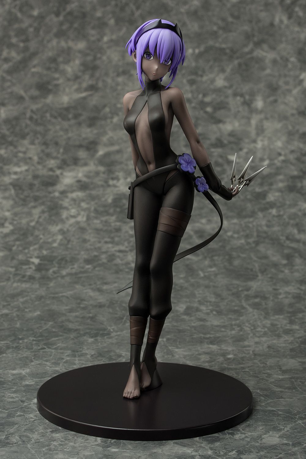 Manga - Manhwa - Assassin/Hassan of Serenity - PLUM