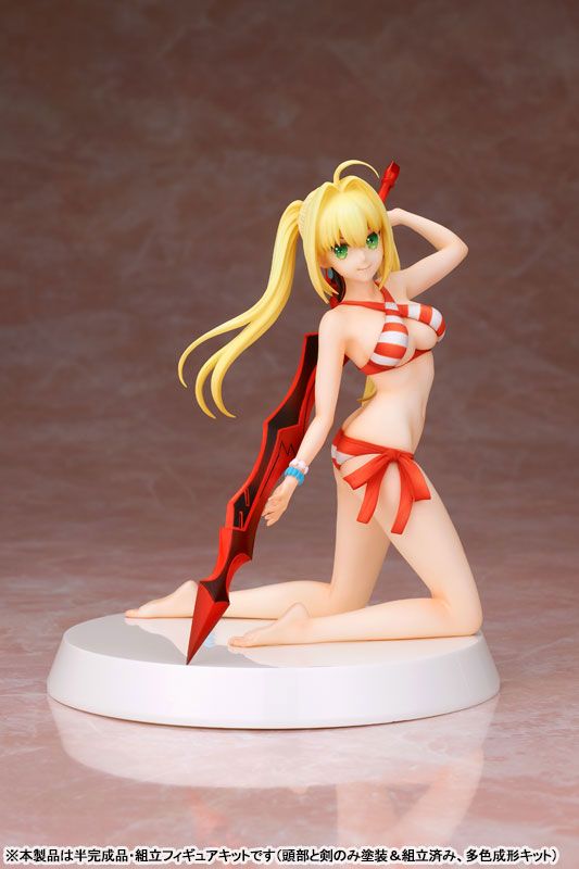 Manga - Manhwa - Caster/Nero Claudius - Summer Queens - Our Treasure