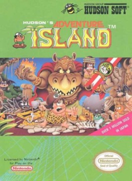 Jeu Video - Adventure Island