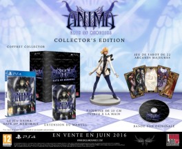 jeu video - Anima : Gate of Memories - Edition Collector