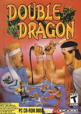 jeu video - Double Dragon