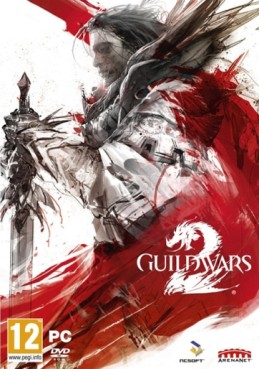 jeu video - Guild Wars 2