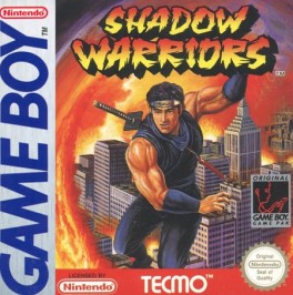 jeu video - Ninja Gaiden / Shadow Warriors