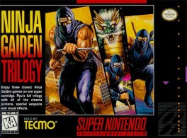 jeux video - Ninja Gaiden Trilogy