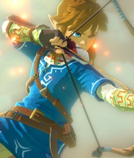 Mangas - The Legend of Zelda Wii U