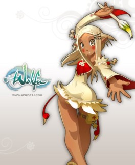 Jeu Video - Wakfu